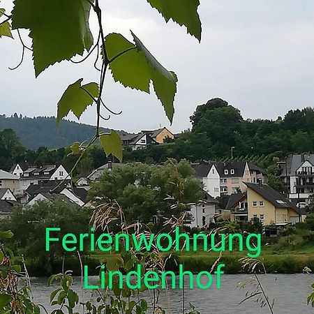 Die Ferienwohnung Lindenhof Zell Extérieur photo